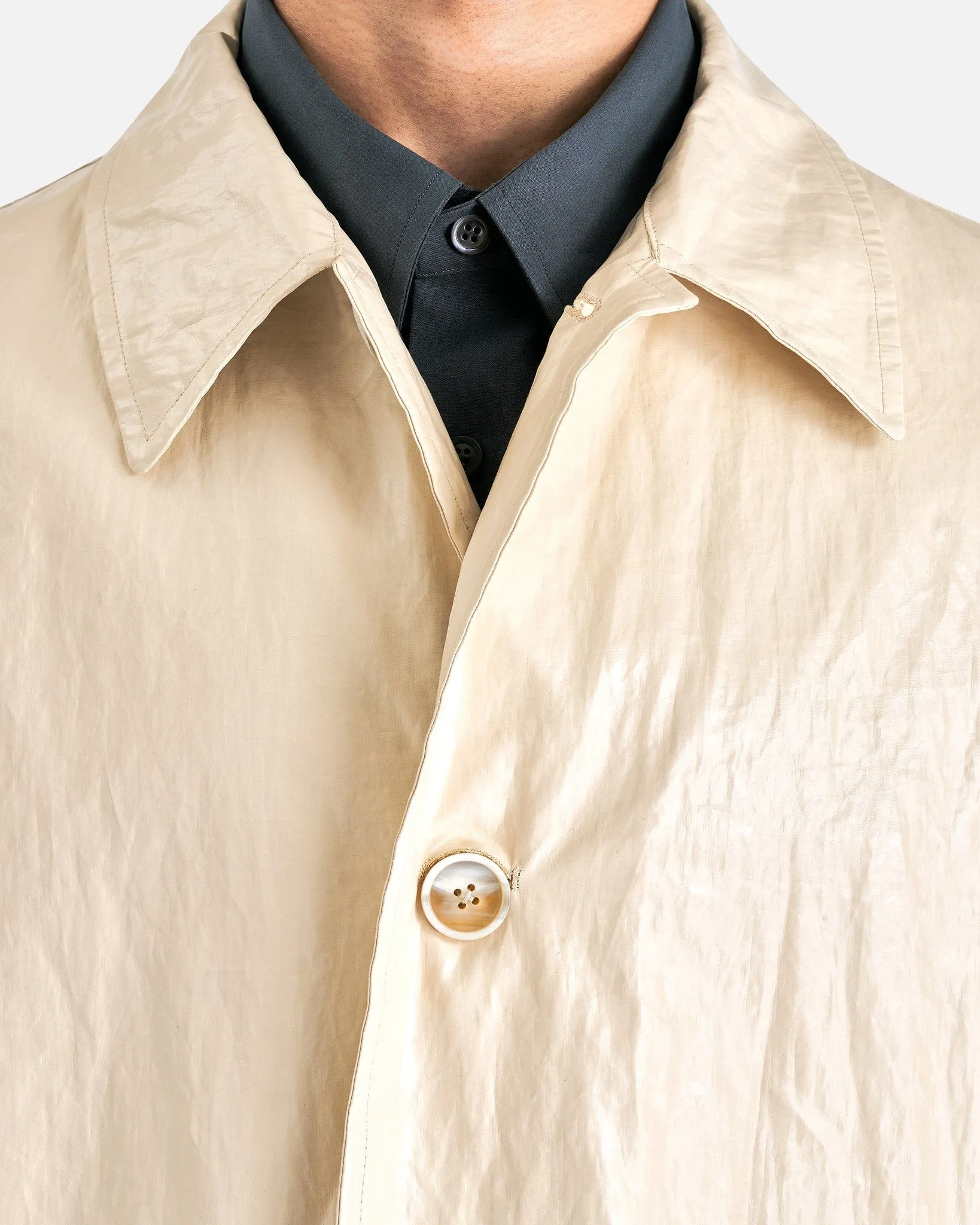 Dries Van Noten Rankles Coat in Cream