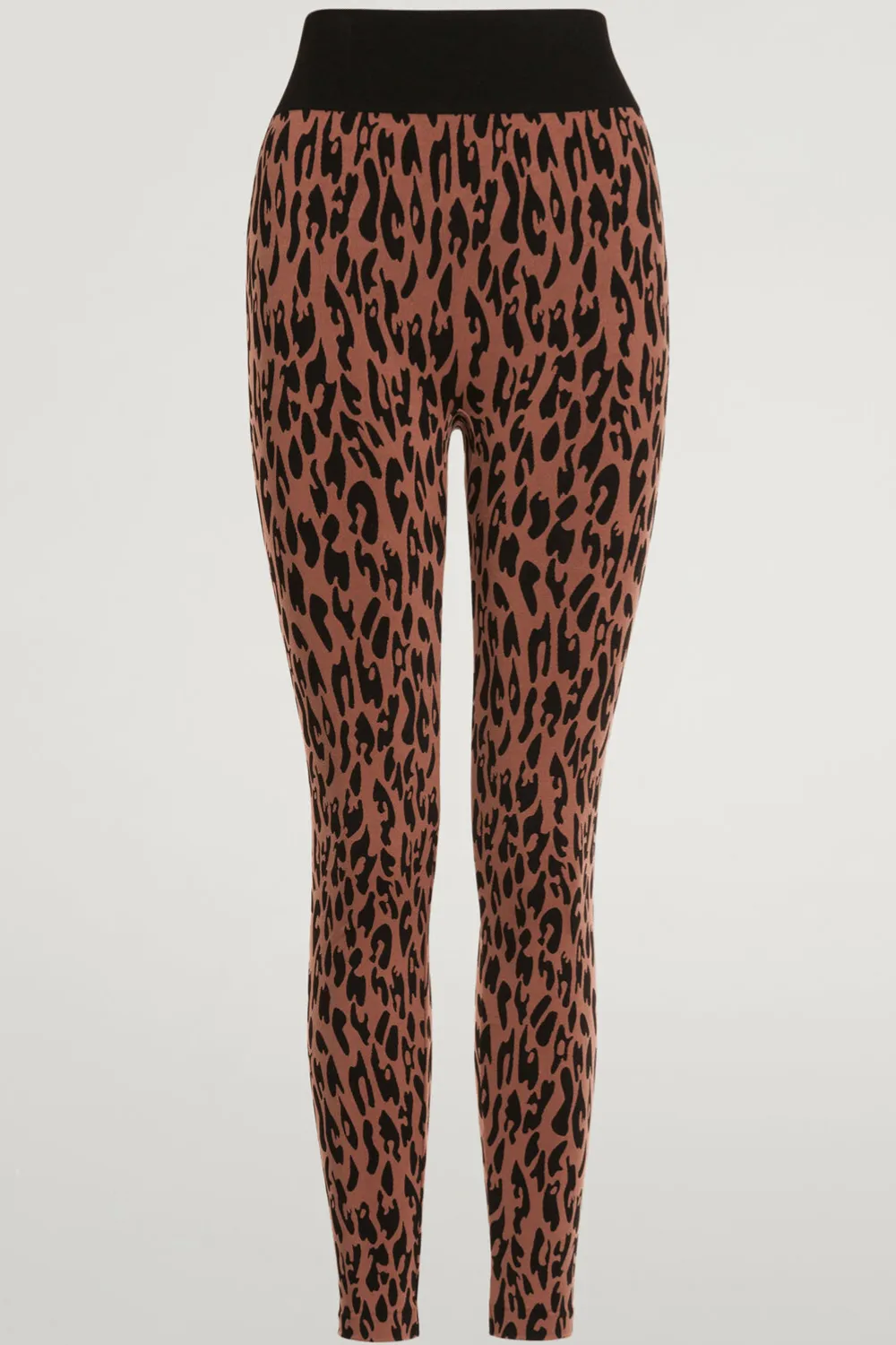 Leopard print leggings by C2C Leo.