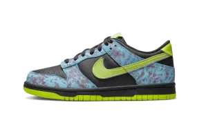 Nike Dunk Low Acid Wash - Latest Releases and Styles