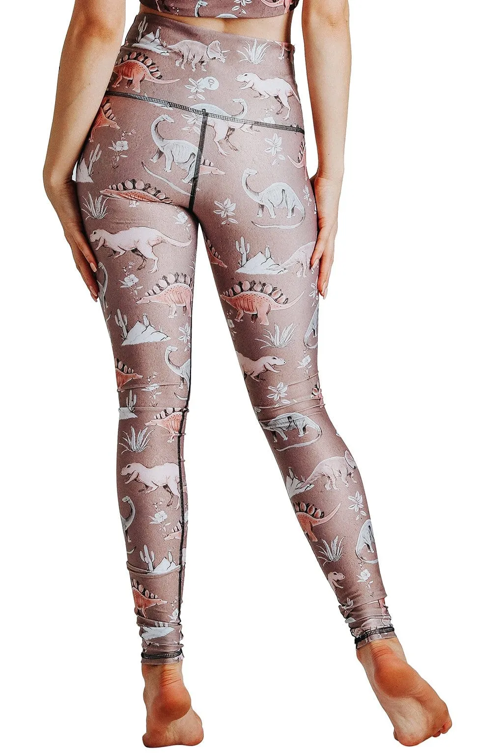 Yoga Pants with Stokasaurus Print